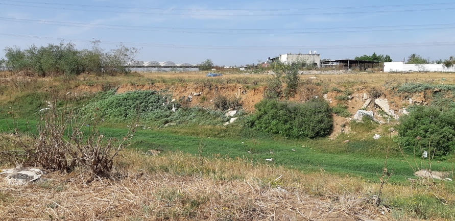 אמברוסיה מכונסת  צולם על ידי אוהד מאס 