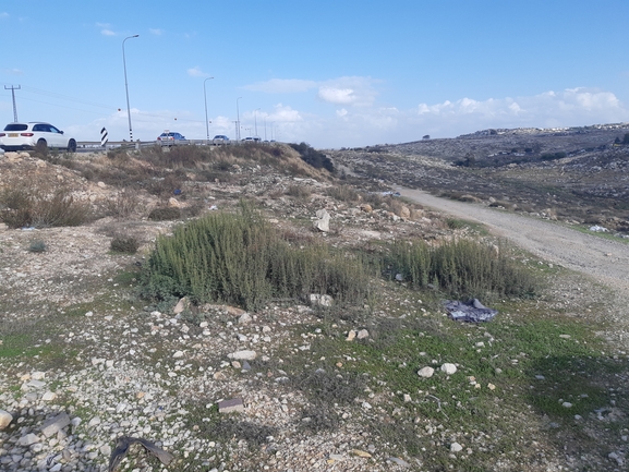 אמברוסיה מכונסת  צולם על ידי דוד אואנונו 