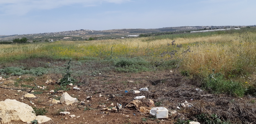 אמברוסיה מכונסת  צולם על ידי אוהד מאס 