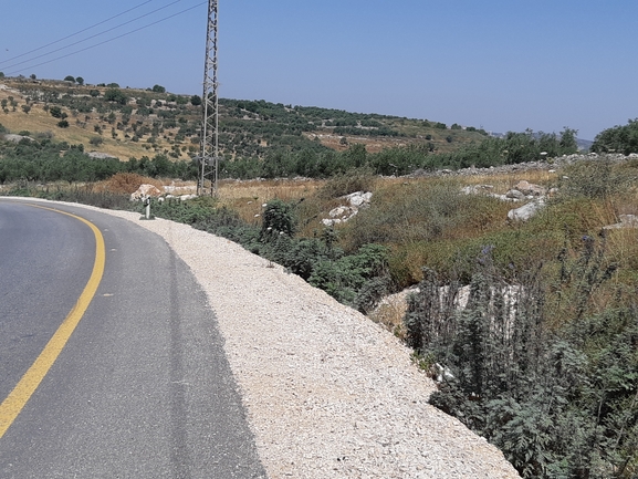 אמברוסיה מכונסת  צולם על ידי רמי יוספי 