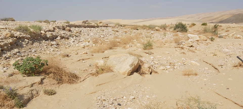 לכיד הנחלים  צולם על ידי אברהם לינקולן 