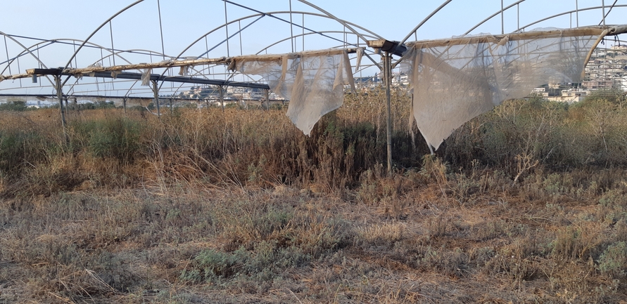 אמברוסיה מכונסת  צולם על ידי אוהד מאס 