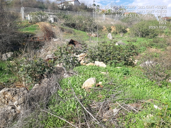 קיקיון מצוי  צולם על ידי הדס כהנר 