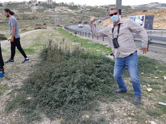 אמברוסיה מכונסת  צולם על ידי מרגרטה וולצ'אק 