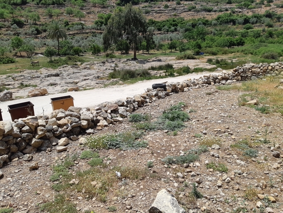 אמברוסיה מכונסת  צולם על ידי רמי יוספי 