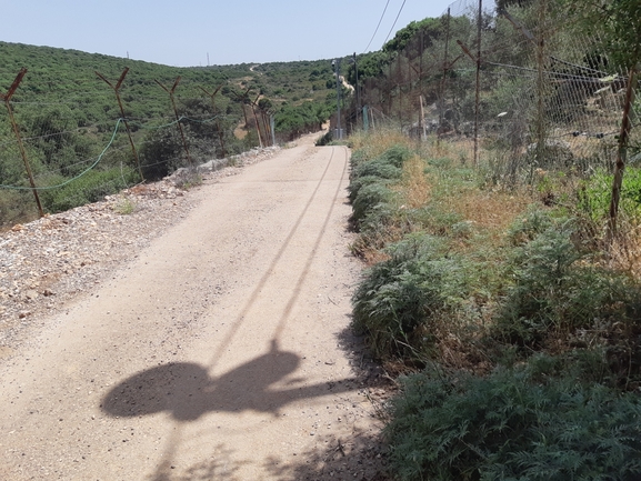 אמברוסיה מכונסת  צולם על ידי רמי יוספי 