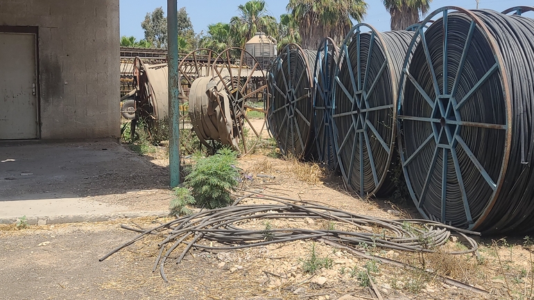 אמברוסיה מכונסת  צולם על ידי רועי פדרמן 