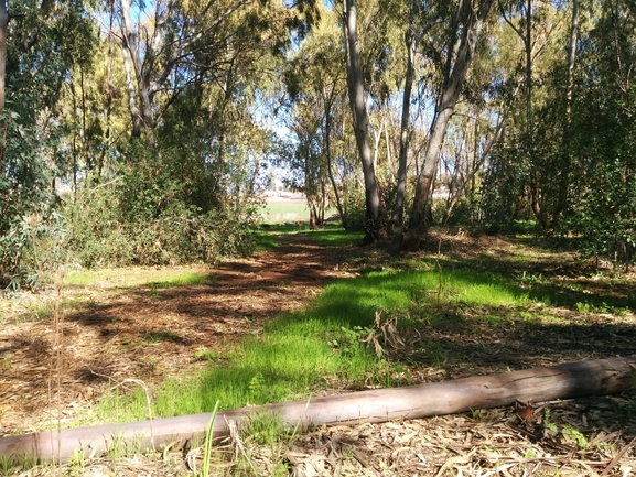 בקיית יזרעאל  צולם על ידי מרב לבל 