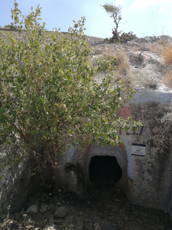 כלך דנין  צולם על ידי דרור עמית 