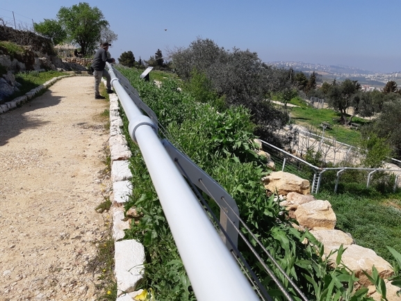 דרדר אשקלון  צולם על ידי מרגרטה וולצ'אק 