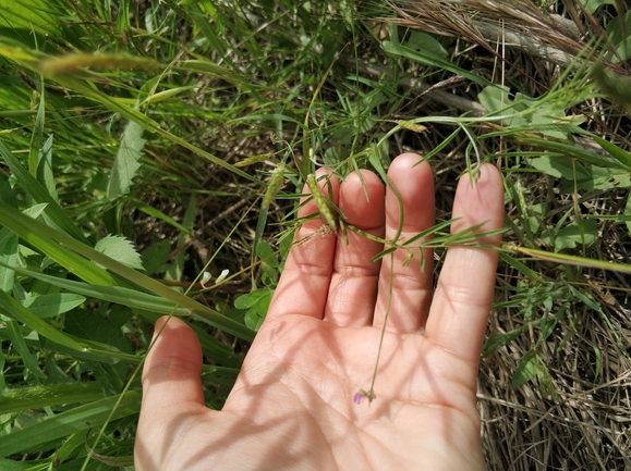 בקיה עדינה  צולם על ידי מרב לבל 