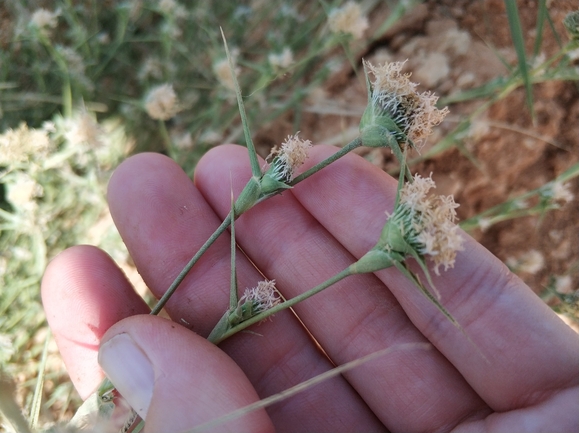 עטיינית פקטורי  צולם על ידי מרב לבל 