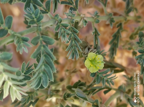 קוטב הערוצים  צולם על ידי מימי רון 