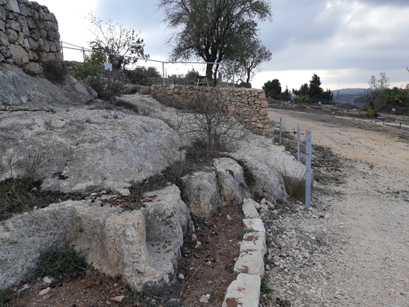 שיכרון לבן  צולם על ידי מרגרטה וולצ'אק 