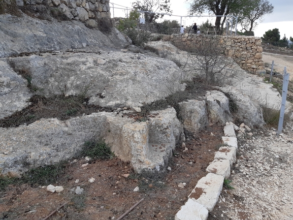 שיכרון לבן  צולם על ידי מרגרטה וולצ'אק 