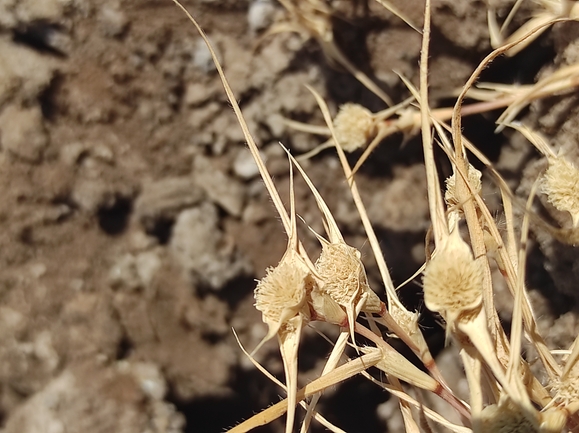 עטיינית פקטורי  צולם על ידי מימי רון 