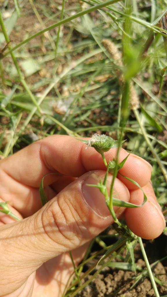 עטיינית פקטורי  צולם על ידי לביא קורן 