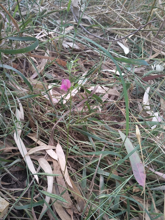 בקיית יזרעאל  צולם על ידי אורי פרגמן-ספיר 