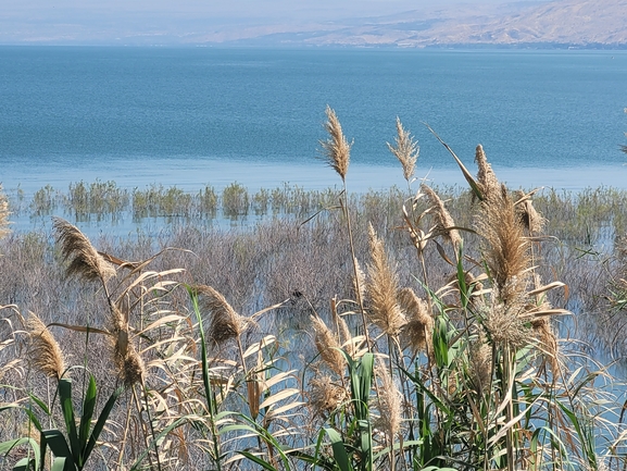 עירית נטויה  צולם על ידי יפעת ארצי 