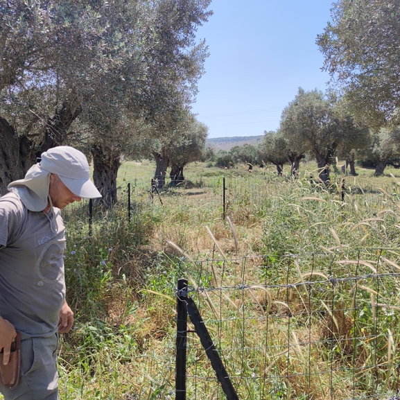 מרוות איג  צולם על ידי מרב לבל 