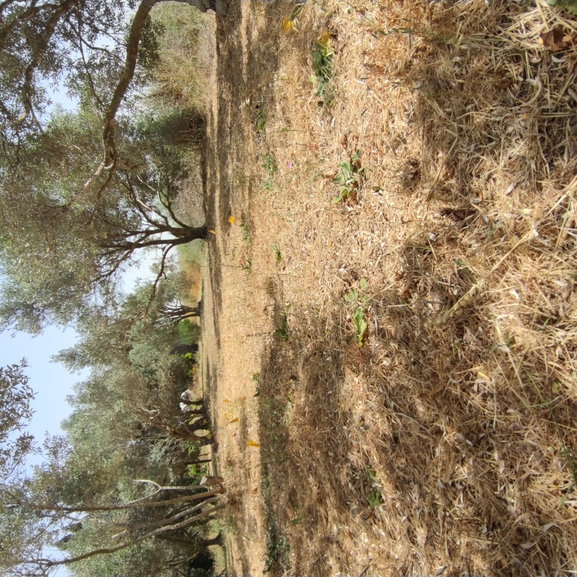 מרוות איג  צולם על ידי מרב לבל 