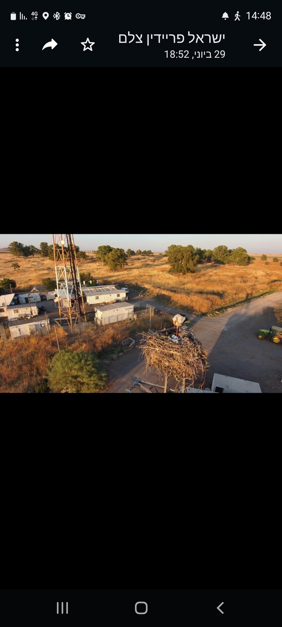 עירית נטויה  צולם על ידי ג'ורג'י נורקין 