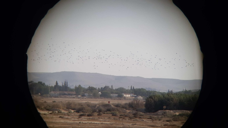 עירית נטויה  צולם על ידי ניקיטה פודוברייב 