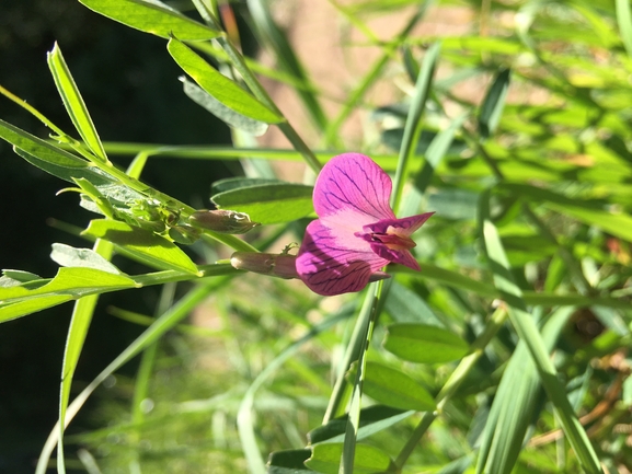 בקיית יזרעאל  צולם על ידי בר שמש 