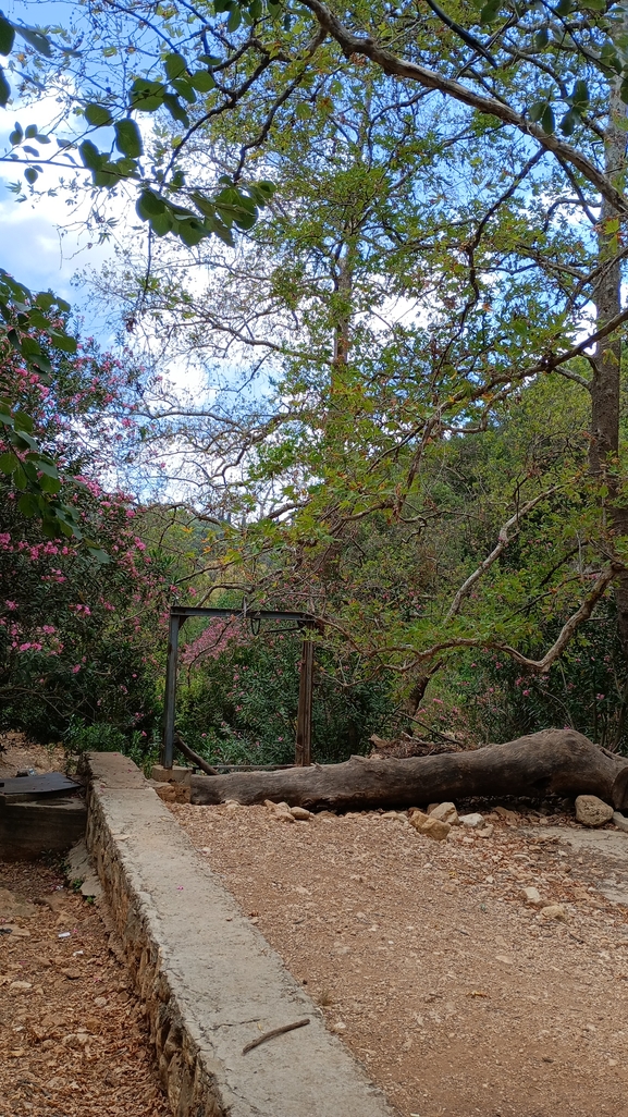 דולב מזרחי  צולם על ידי גיל בן-עזרא 