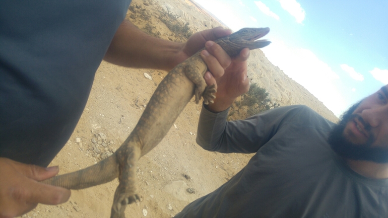 Grey Monitor  photographed by יבגני קמינסקי 