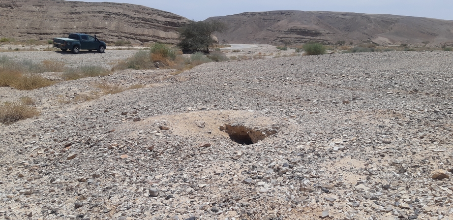 Dabb Lizard  photographed by אברהם לינקולן 