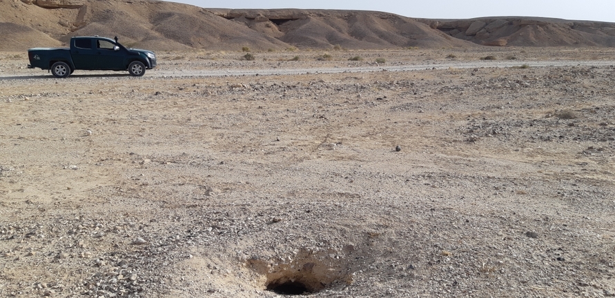 Dabb Lizard  photographed by אברהם לינקולן 