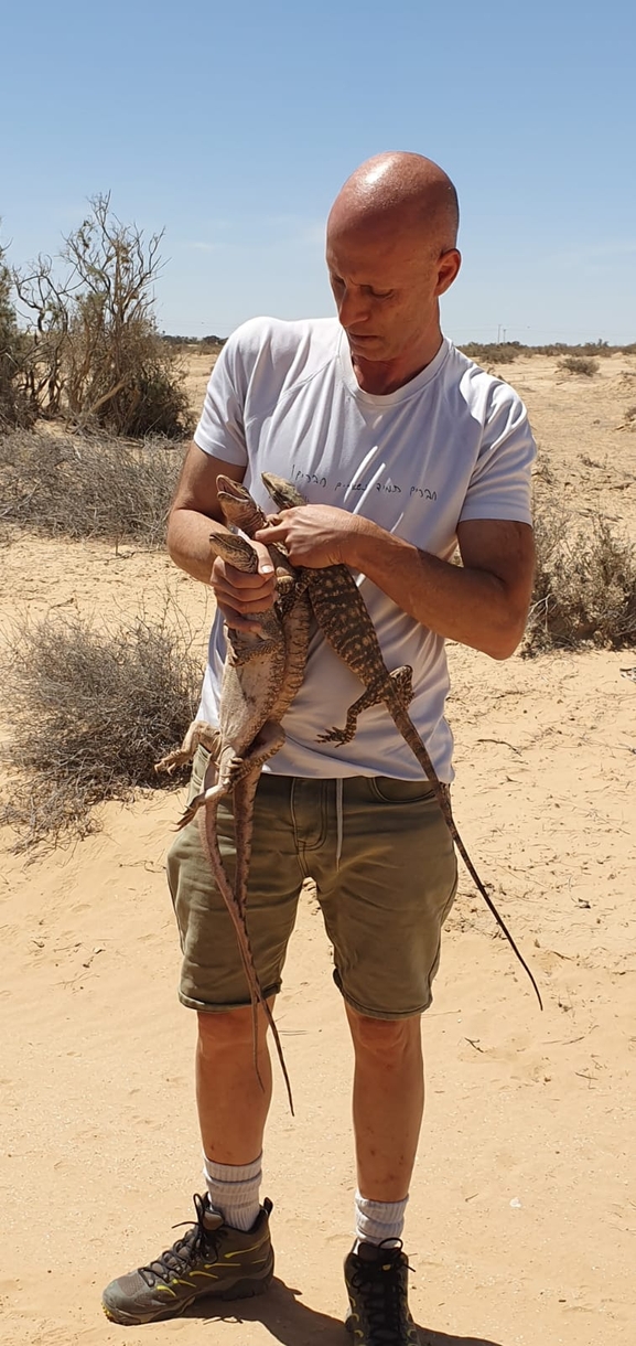 Grey Monitor  photographed by אביעד בר 