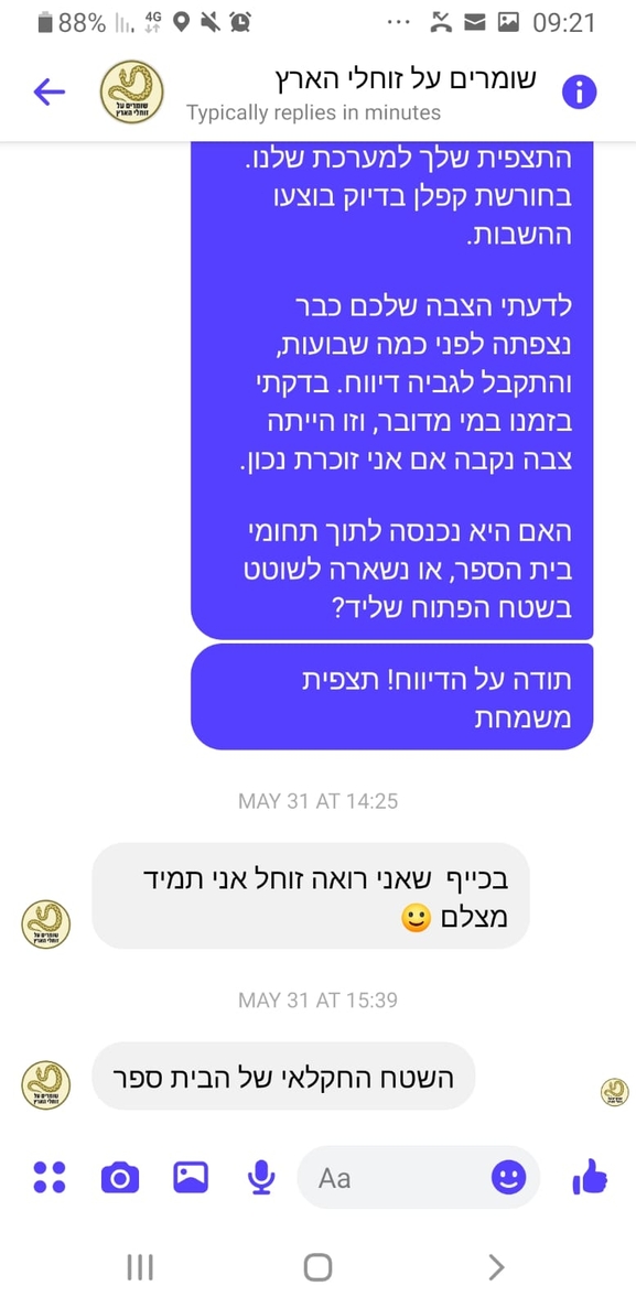 צב-יבשה מצוי  צולם על ידי צליל לבין 