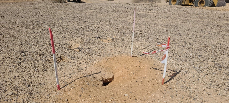 Dabb Lizard  photographed by עוואד שלייבי 