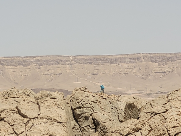 חרדון סיני  צולם על ידי עוואד שלייבי 