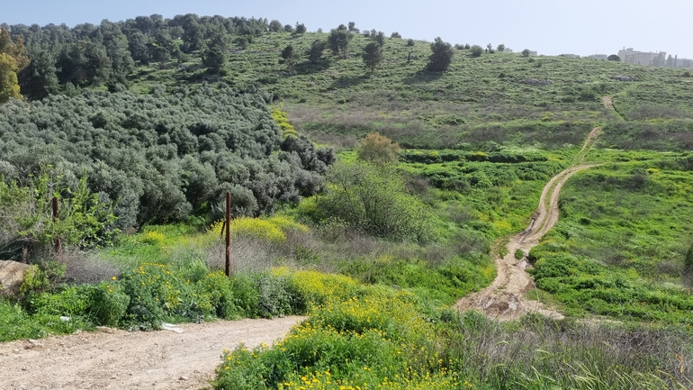 עין-חתול חברבר  צולם על ידי אלדד אלרון 