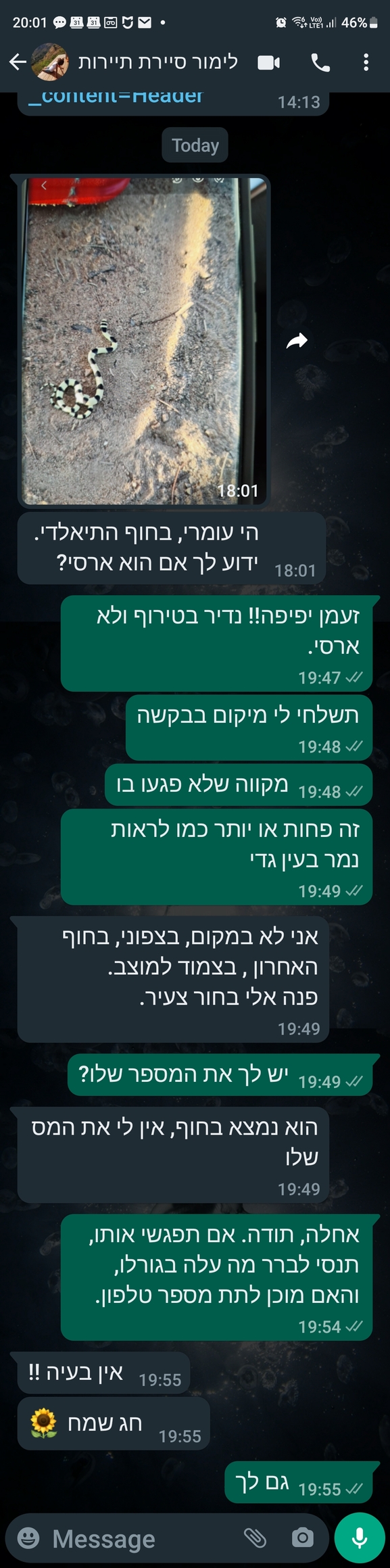 זעמן יפיפה  צולם על ידי לא ידוע 